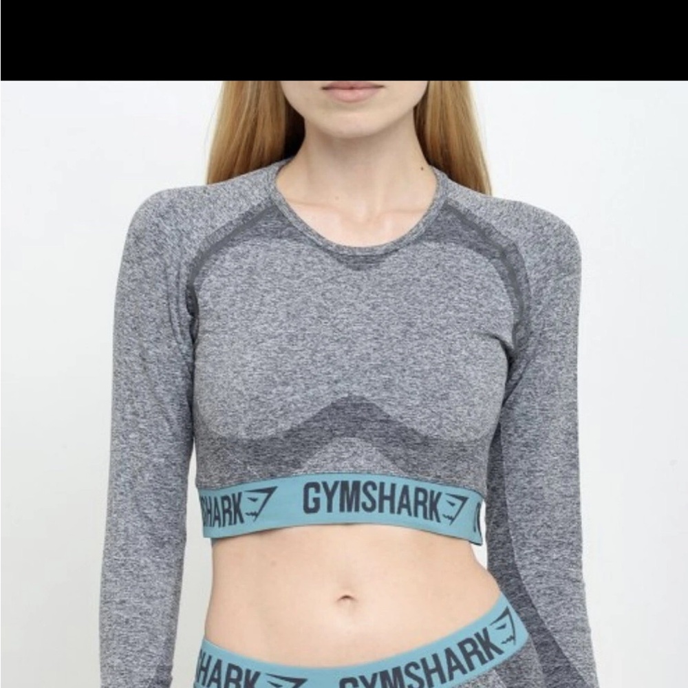 Gymshark Gray and Blue Workout Top